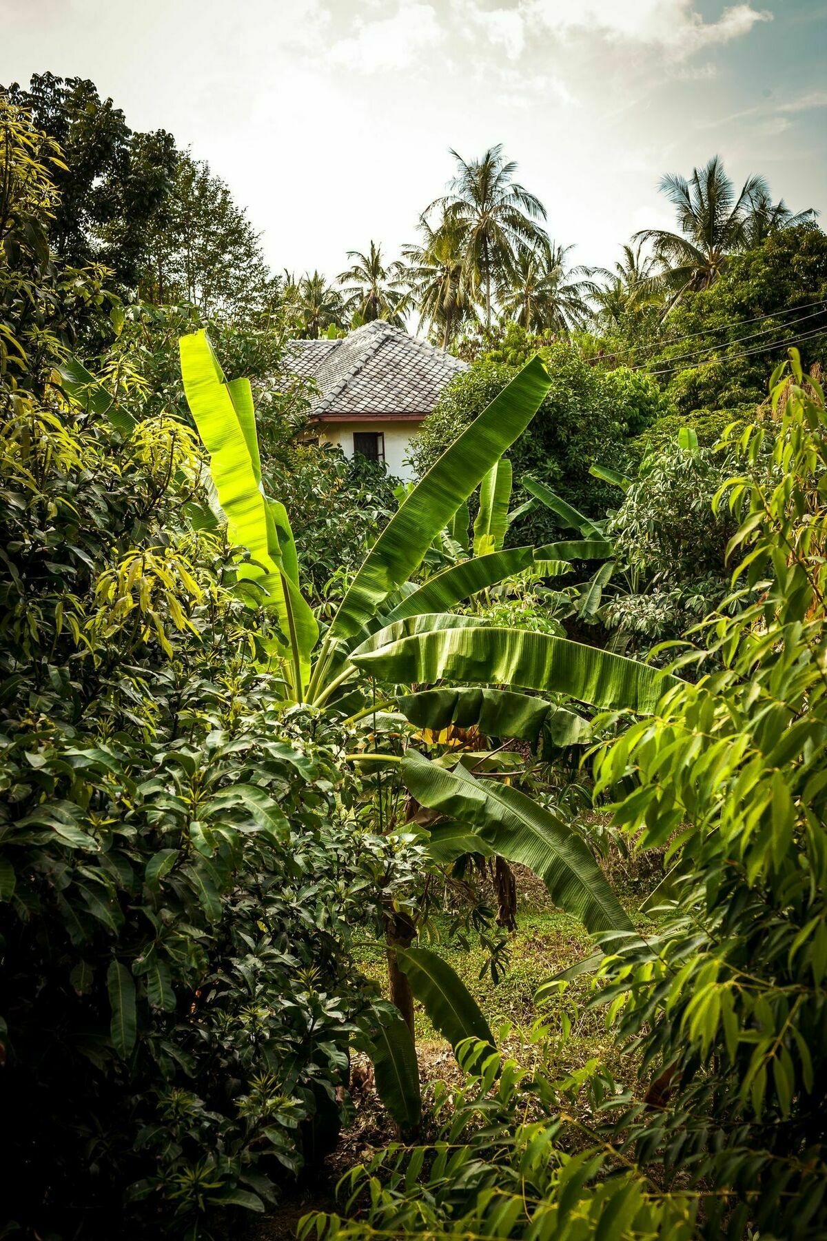 Cashew Nut Village Бофут Екстериор снимка